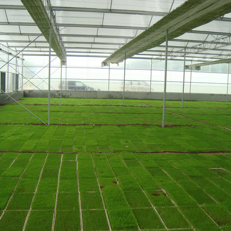 山東鼎韻園林綠化有限公司